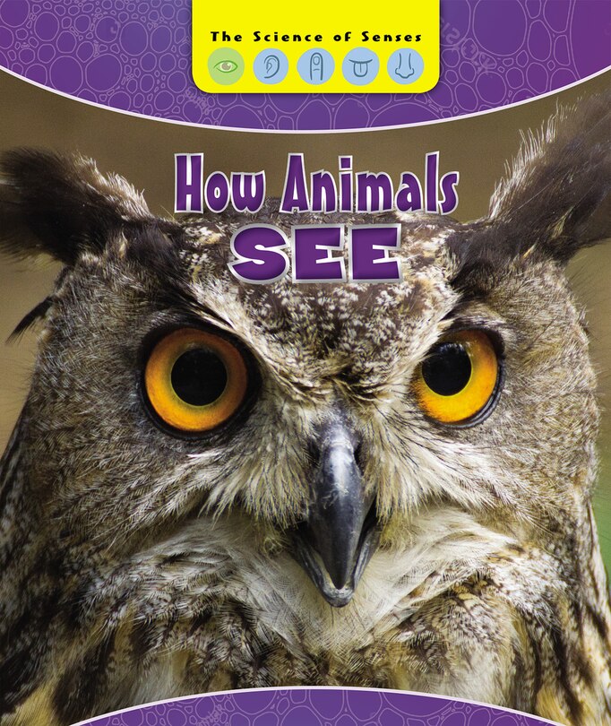 Front cover_How Animals See