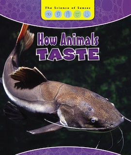Front cover_How Animals Taste