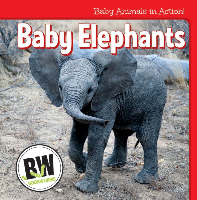 Couverture_Baby Elephants