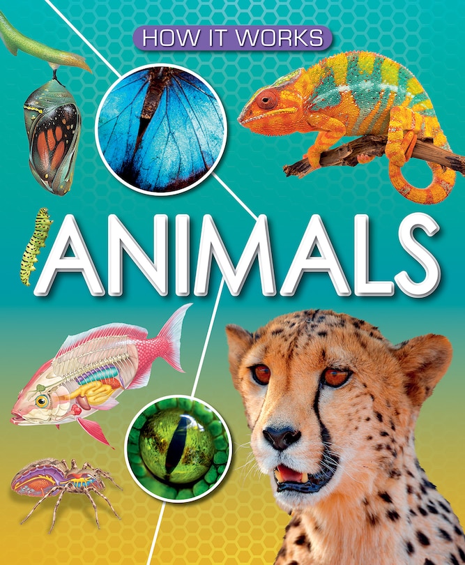 Front cover_Animals