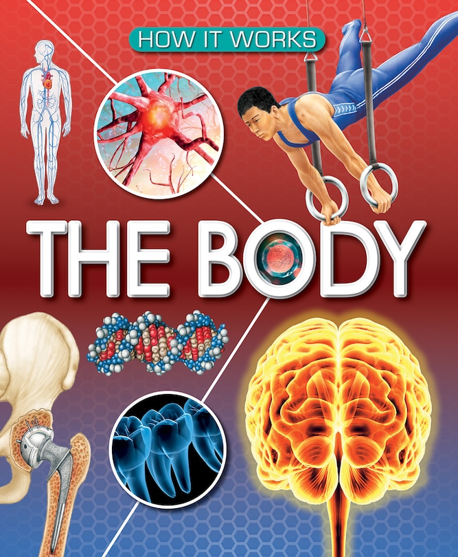 Front cover_The Body