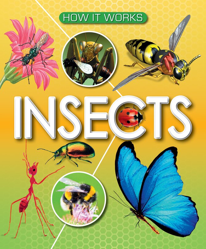 Front cover_Insects