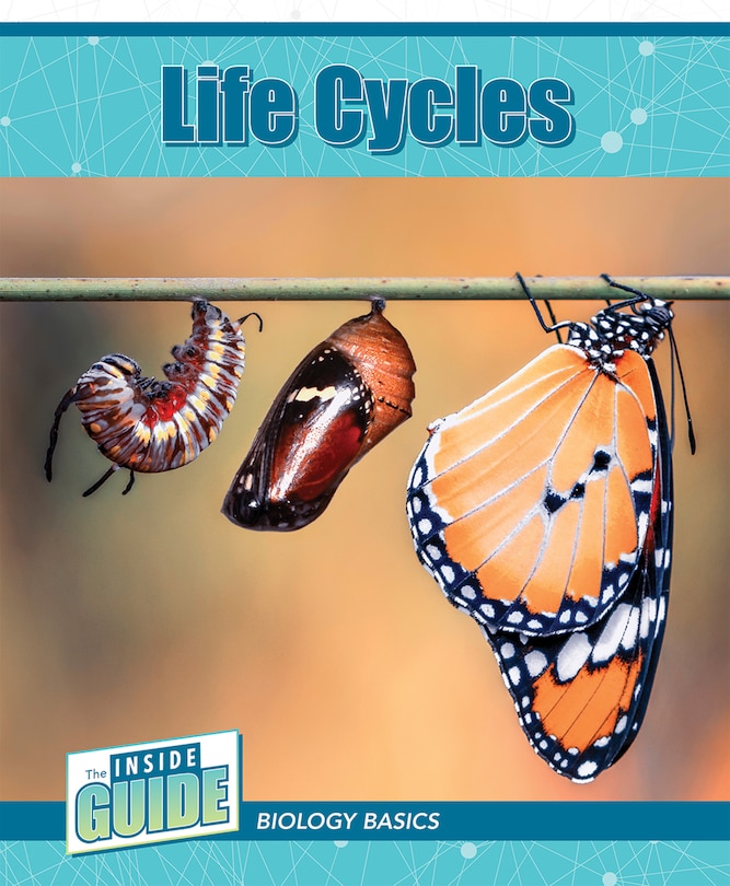 Couverture_Life Cycles