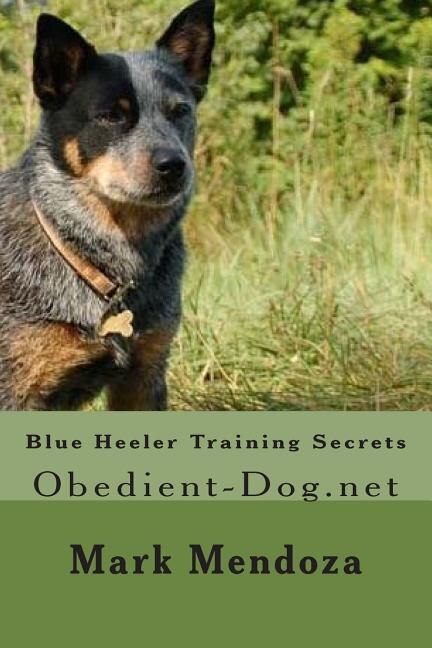 Blue heeler training guide sale