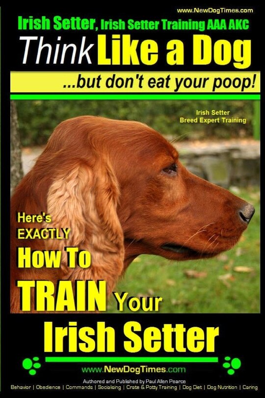 Couverture_Irish Setter, Irish Setter Training AAA AKC
