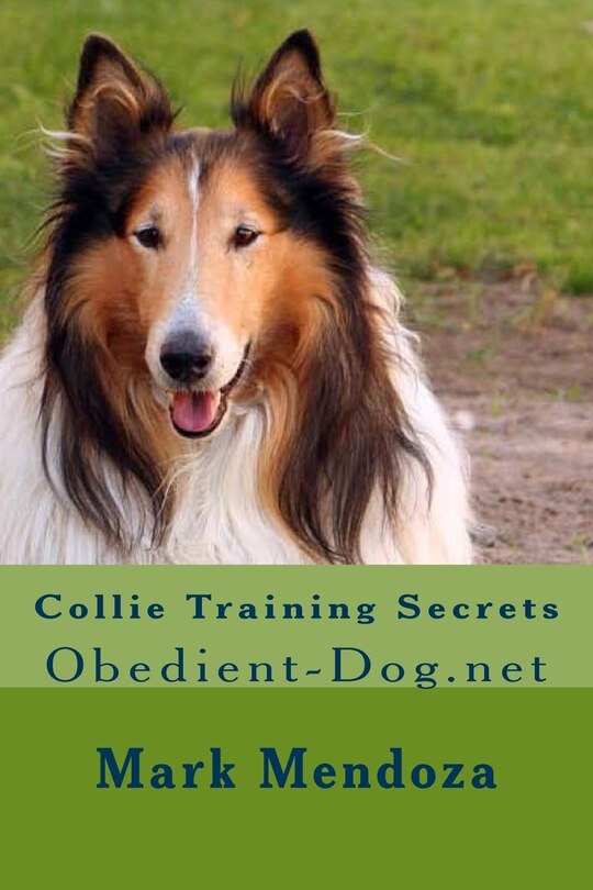 Front cover_Collie Training Secrets