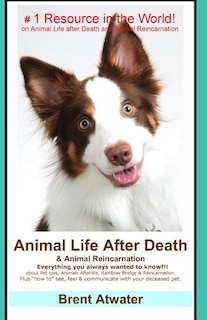 Animal Life After Death & Animal Reincarnation: Pet Loss Answers for all your heart's Questions!