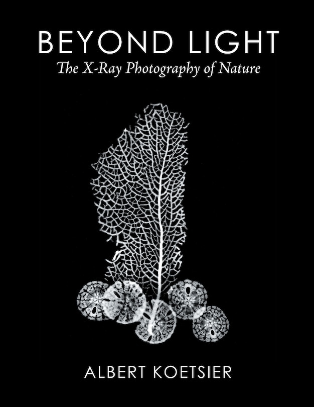 Front cover_Beyond Light