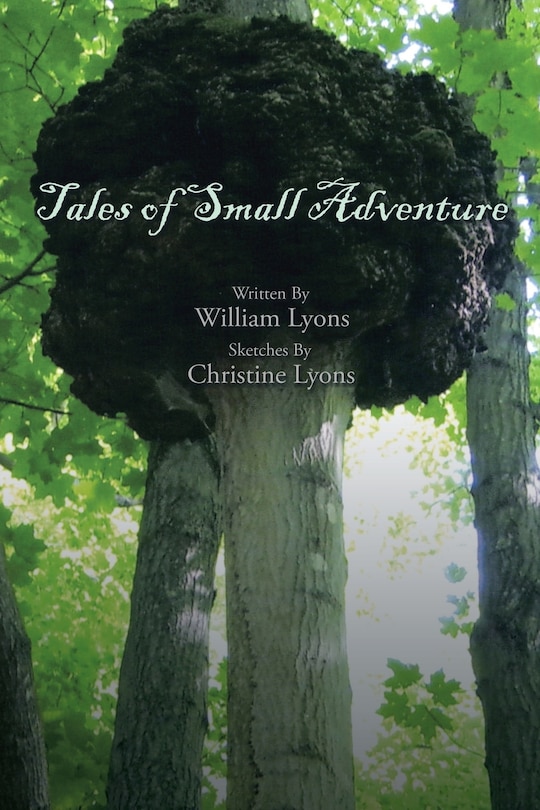 Front cover_Tales of Small Adventure