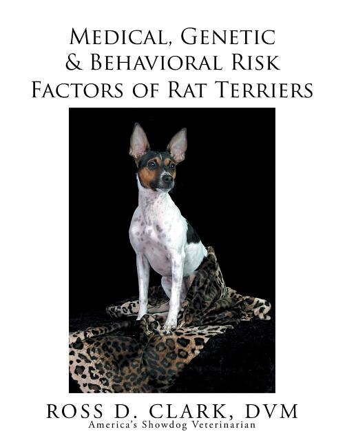 Indigo rat terriers deals