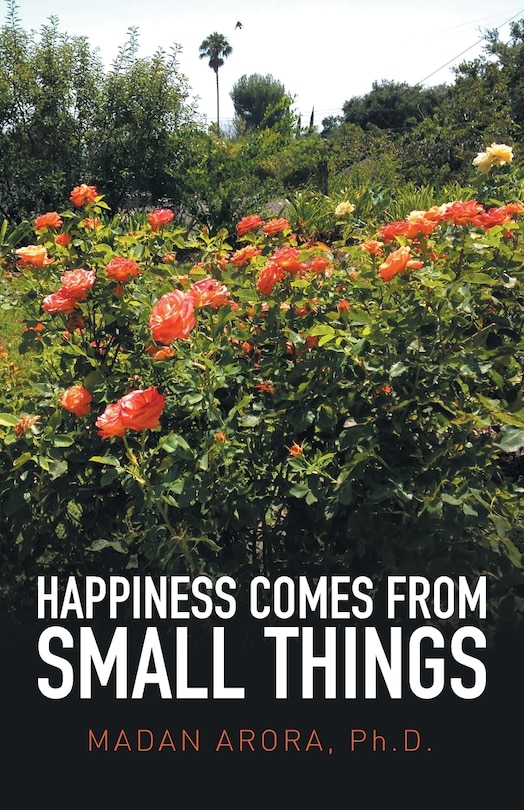 Couverture_Happiness Comes from Small Things