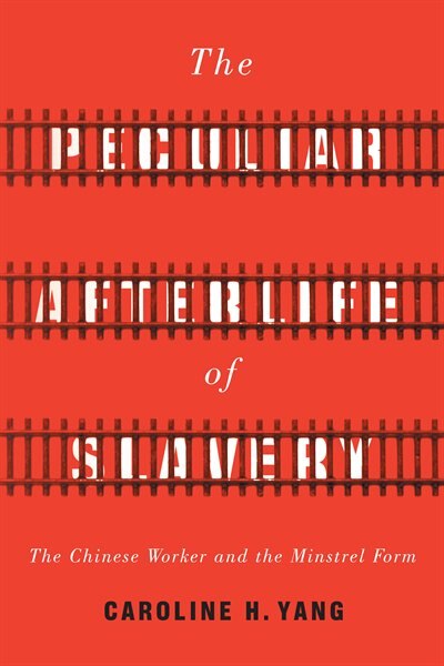 Front cover_The Peculiar Afterlife of Slavery