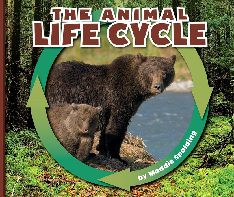 Front cover_The Animal Life Cycle