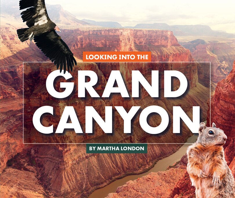 Couverture_Looking Into the Grand Canyon