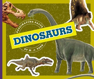 Couverture_Dinosaurs