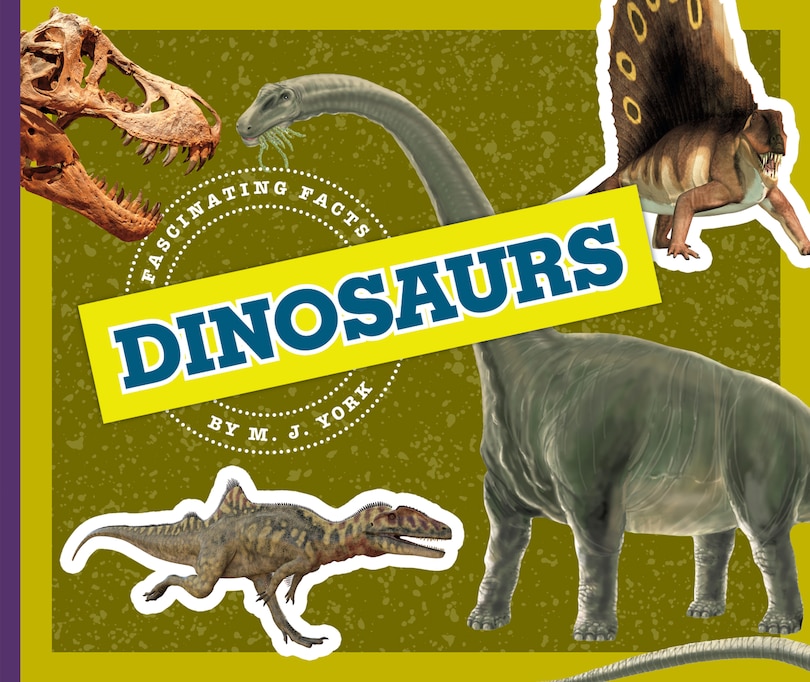 Couverture_Dinosaurs