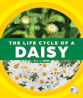 Couverture_The Life Cycle of a Daisy