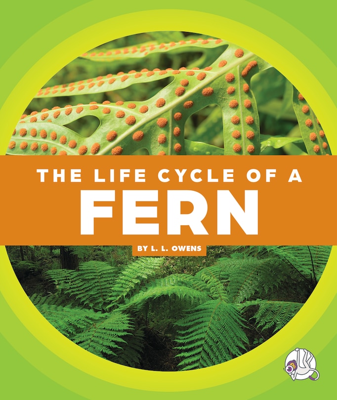 Front cover_The Life Cycle of a Fern