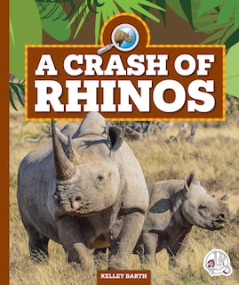 Front cover_A Crash of Rhinos