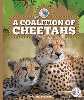 Couverture_A Coalition of Cheetahs