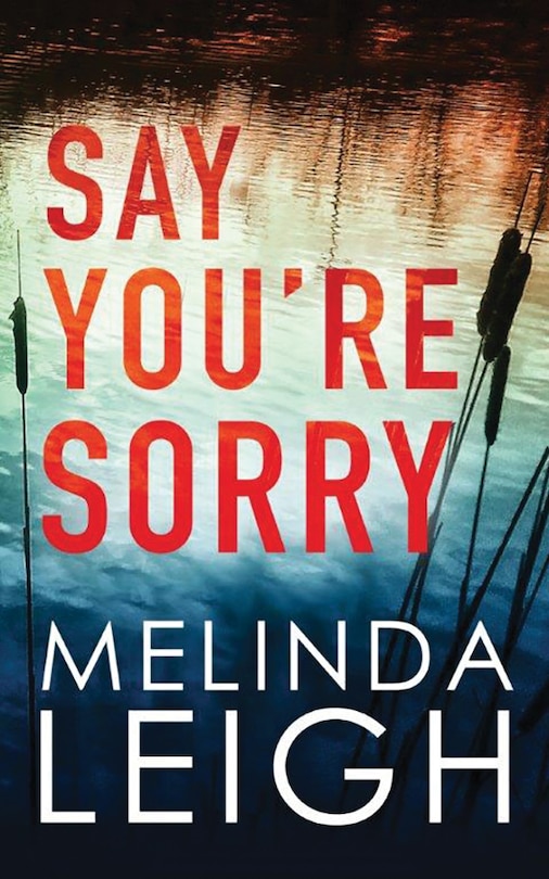 Couverture_Say You're Sorry