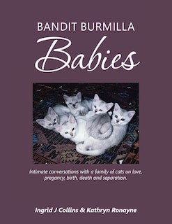 Couverture_Bandit Burmilla Babies