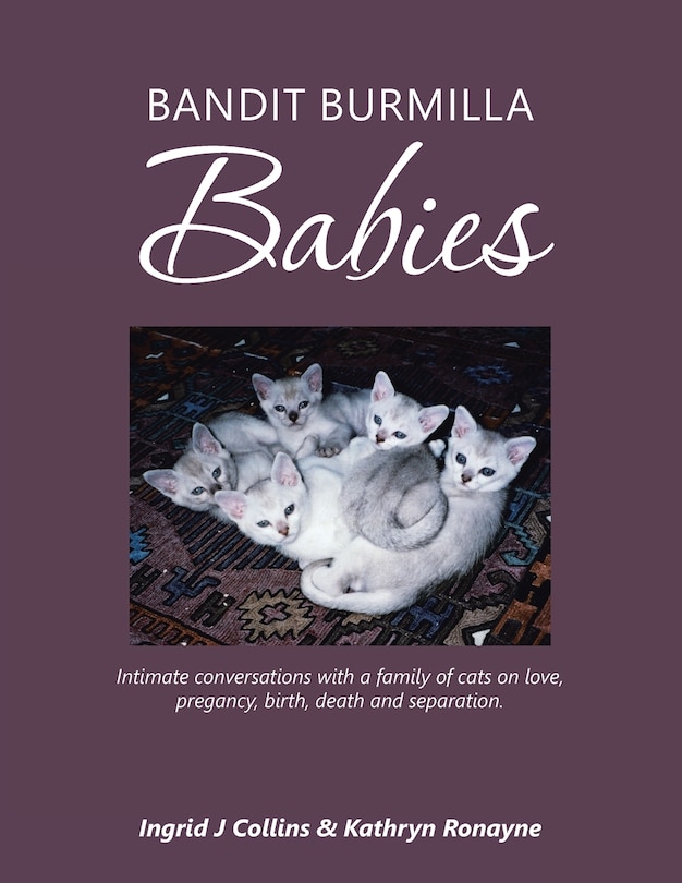 Couverture_Bandit Burmilla Babies