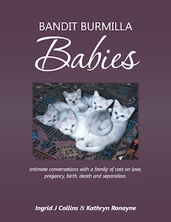 Bandit Burmilla Babies: Intimate conversations with a family of cats on love, pregancy, birth, death and separation.