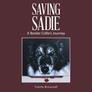 Couverture_Saving Sadie