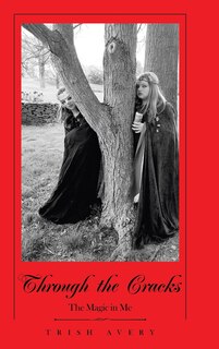 Couverture_Through the Cracks