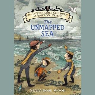 Front cover_The Unmapped Sea