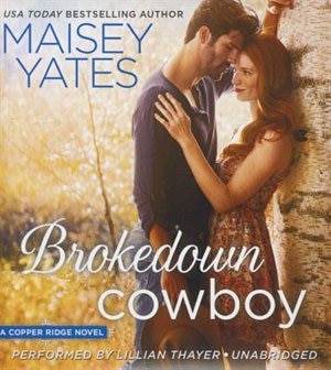Brokedown Cowboy