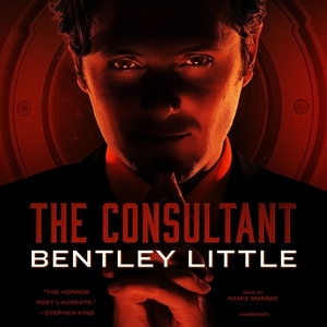 Couverture_The Consultant