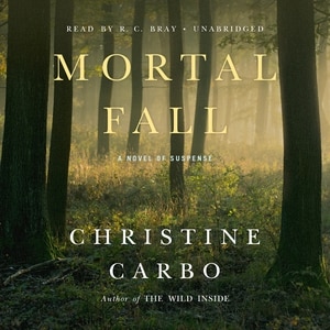 Front cover_Mortal Fall