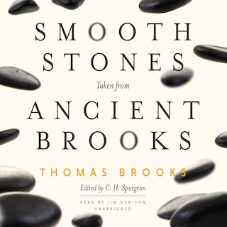 Front cover_Smooth Stones Taken From Ancient Brooks