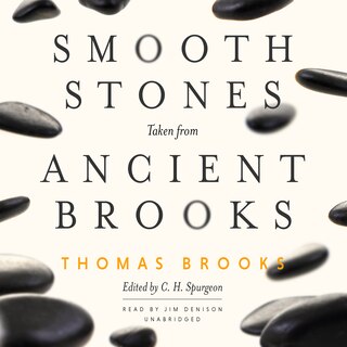 Front cover_Smooth Stones Taken From Ancient Brooks