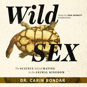 Front cover_Wild Sex
