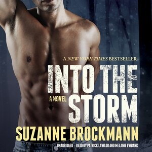 Couverture_Into The Storm