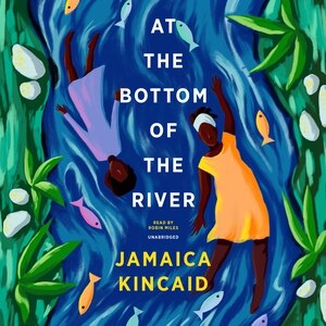 Front cover_At The Bottom Of The River