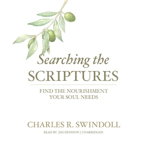 Couverture_Searching The Scriptures