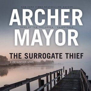 Couverture_The Surrogate Thief