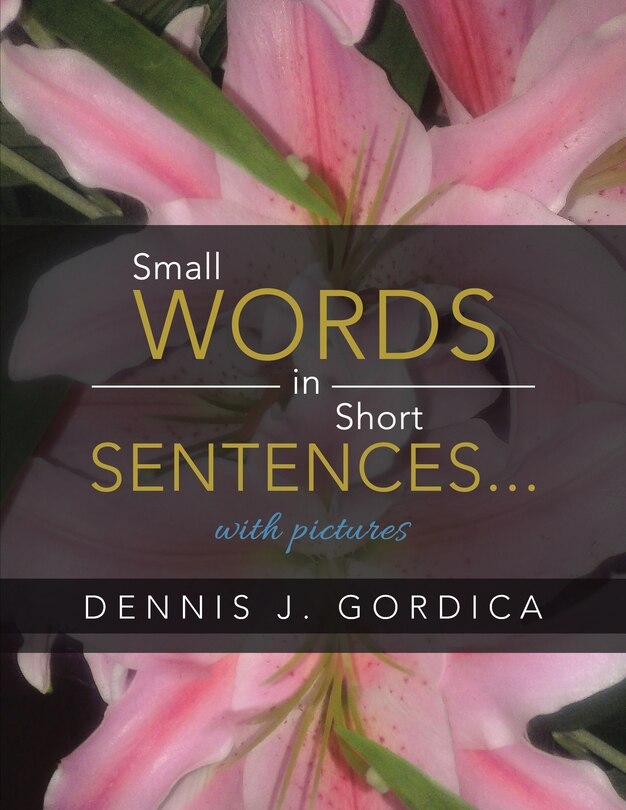 Couverture_Small Words in Short Sentences...with pictures