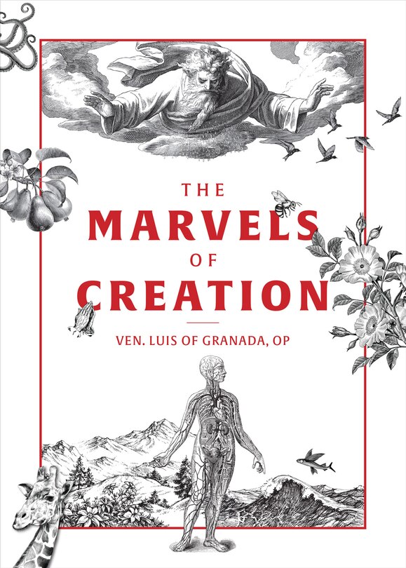 Front cover_The Marvels of Creation