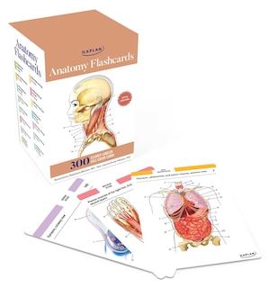 Front cover_Anatomy Flashcards: 300 Flashcards with Anatomically Precise Drawings and Exhaustive Descriptions