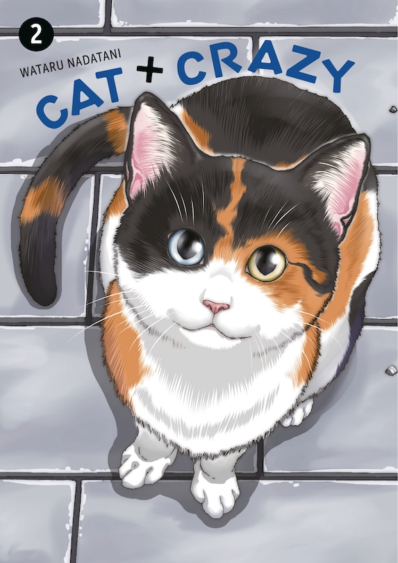 Front cover_Cat + Crazy Volume 2