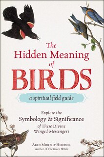 Front cover_The Hidden Meaning of Birds--A Spiritual Field Guide