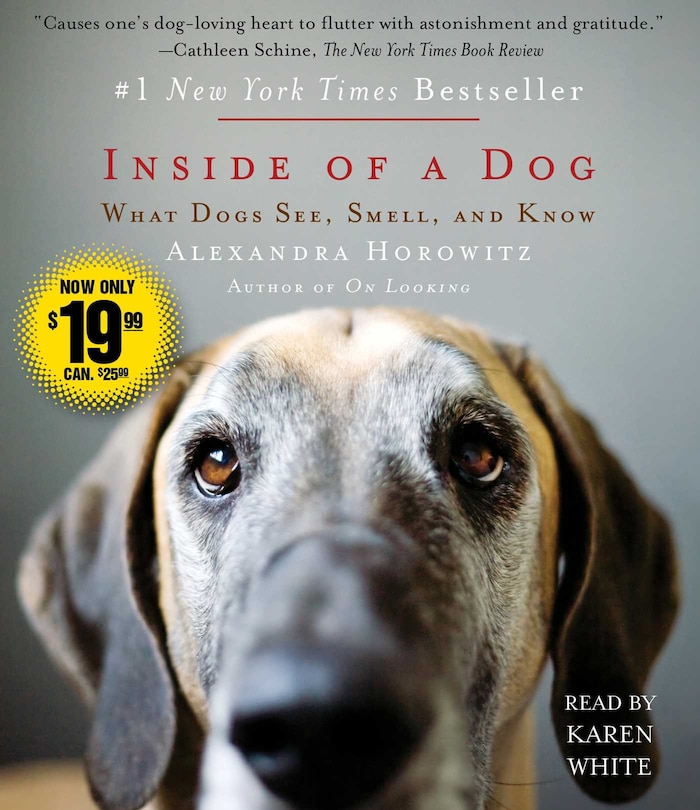 Couverture_Inside of a Dog