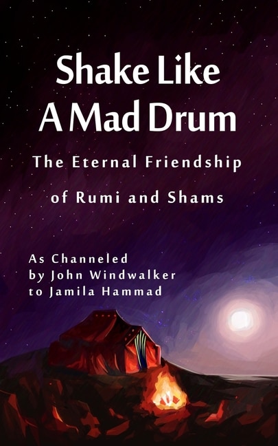 Couverture_Shake Like A Mad Drum