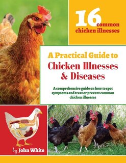 A Practical Guide To Chicken Illnesses & Diseases