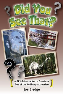 Front cover_Did You See That?